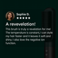 Straight comb – salon-smooth hair in just one stroke